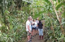 Guanacaste Wonders Sloths Waterfalls and Coffee