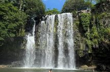 Guanacaste Wonders Sloths Waterfalls and Coffee
