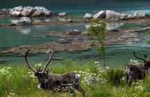 Private Road Trip Tour to Grotfjord