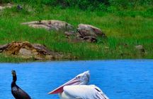 Ella sight seeing full-day tour&private srilanka tours