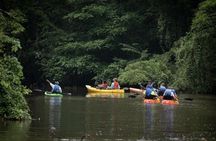 Kayak Tour in Tortuguero Canals with Tourist Guide