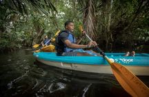 Kayak Tour in Tortuguero Canals with Tourist Guide
