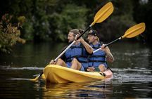 Tour Full 1-Day Experience in Tortuguero