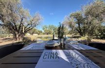 Mendoza Private Wine Tour Paired Lunch and Olive Oil Tasting