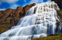 Dynjandi Waterfall and the Oldest Bookstore of Iceland