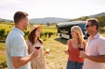 Texas Hill Country Wine and BBQ Tour From Austin (Small Group)