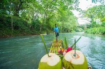 Luminous Lagoon and Lethe Rafting Adventure from Negril Jamaica