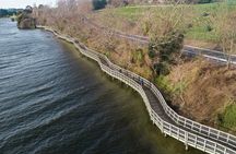 Half Day Guided Bike Tour Te Awa River Ride
