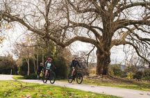 Half Day Guided Bike Tour Te Awa River Ride