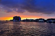 Private Dolphin Tours and Customized Charters in Destin