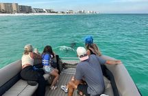 Private Dolphin Tours and Customized Charters in Destin