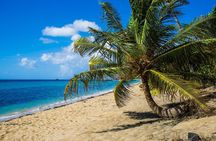 St Kitts Photography Tour with Photo Insurance