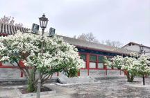 Beijing Tiananmen Square Forbidden City and Great Wall Tour