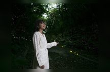 Iriomote Island Yaeyama Firefly Guided Night Tour March to May