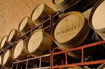 Queretaro Wine and Cheese Tour with Vineyard Tastings in English