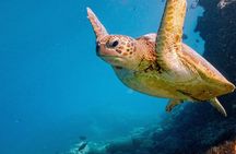 2 Day Great Barrier Overnight Reefsleep Experience