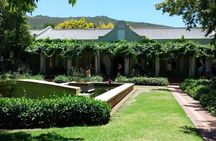Africa Big 5 Safari Cape Town and Wine Tasting Private Full Day