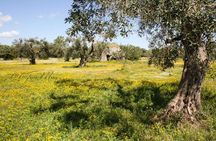 Lecce Ebike Tour with Picnic in the Salentine Countryside
