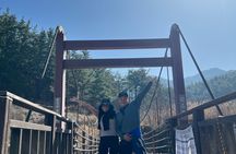 From Gyeongju: Discover Sacred Trails to Yongjangsa at Namsan Mt.