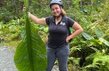 Juneau Alpine Segway Wilderness Trail Adventure