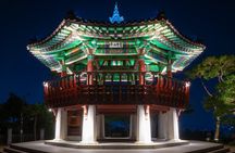 Seoul Night Skyline and Han River Lights Private Tour