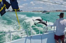 SeaQuest Snorkel and Dolphin Cruise in Destin