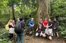 Ninh Binh Day Trek at Cuc Phuong National Park and Bear Sanctuary