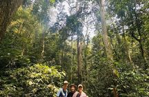 Ninh Binh Day Trek at Cuc Phuong National Park and Bear Sanctuary