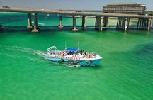 Daytime Dolphin Cruise in Destin