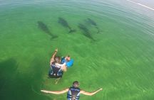 4 Hour Private Dolphin Cruise