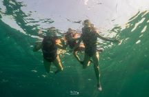 4 Hour Private Dolphin Cruise