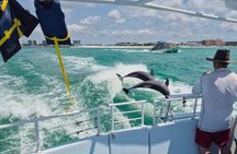 Daytime Dolphin Cruise in Destin
