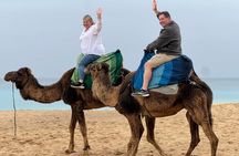 Tangier Shore Excursion: Private 4-Hour Highlights & Camel Ride