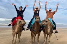 Luxury Tangier Private Full Day Tour from Gibraltar All Inclusive