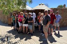 Big 5 Safari Experience from Cape Town with Lunch