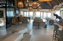 Big 5 Safari Experience from Cape Town with Lunch