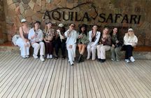 Big 5 Safari Experience from Cape Town with Lunch
