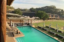 Big 5 Safari Experience from Cape Town with Lunch