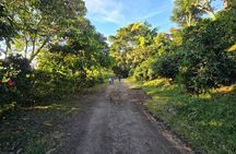 San Salvador Hiking Tour: Cerro San Jacinto Scenic Viewpoint