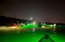 Sharkey's Glass Bottom Kayak Night Tour with Fish Feeding!