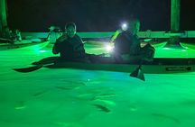 Sharkey's Glass Bottom Kayak Night Tour with Fish Feeding!