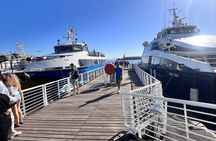 Robben Island Half-Day Tour & Former Prisoner Guide tickets