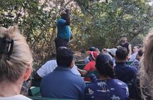  Caroni Swamp Sunset Wildlife Experience