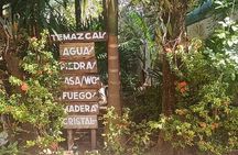 Cancun : Temazcal, In the Heart of the Jungle, Includes Pick-up