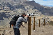 Condor watching tour at the Andes + Artisan Village in Santiago