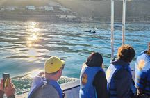 Tour Isla Espiritu Santo