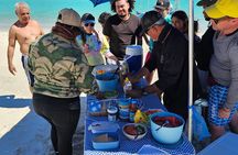Tour Isla Espiritu Santo
