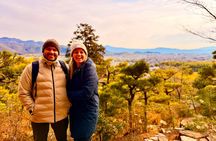 Kyoto Arashiyama Bamboo Forest Early Morning Tour