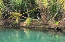 Rainbow River: Clear Kayak Guided Eco Tour