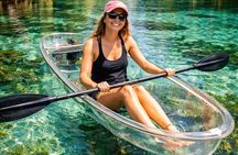 Rainbow River: Clear Kayak Guided Eco Tour